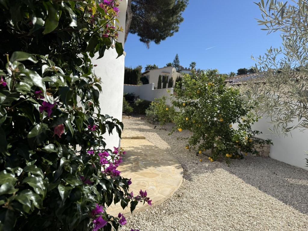 Villa & pool 14