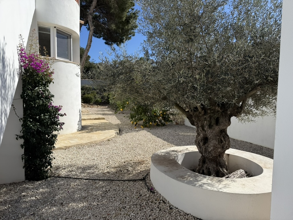 Villa & pool 16